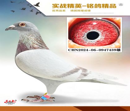 ���ǲ���   �����ָ�