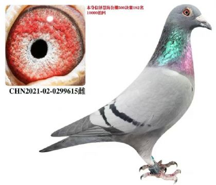 �¹ڹ������30��