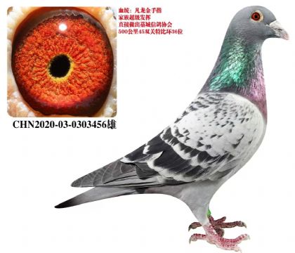 ���������ֹ�