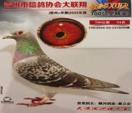 �����Ÿ�Э��700����34��