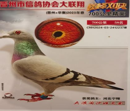 �����Ÿ�Э��700����58��