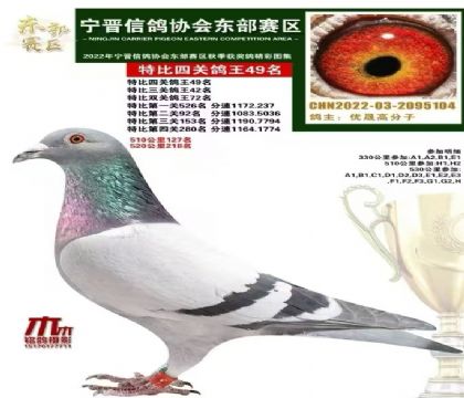 �����Ÿ�Э���Ĺظ���49λ