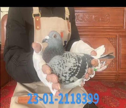 ���ú��ȫ�ֵ�ֱ��x���ض�ֱ�8399