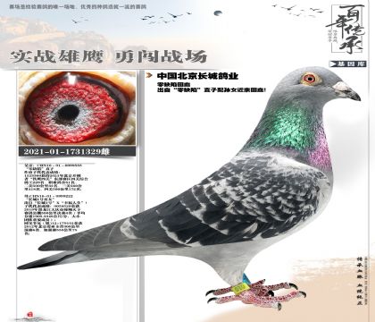 ���Ǹ�ҵ��ȱ��329