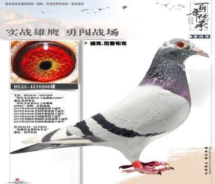 ���ض�����266