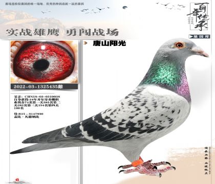 �����������435