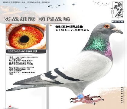 �ܽ�ͷ����619