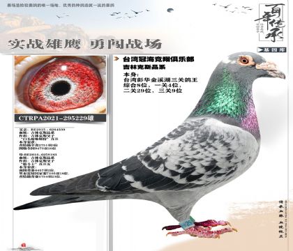 ���ֿ�˹229����8