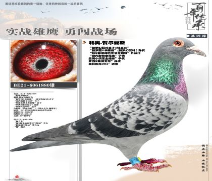 �����λü���880