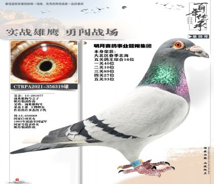 �����ǹ��ż���319