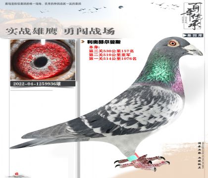 ����500�Ǿ�936