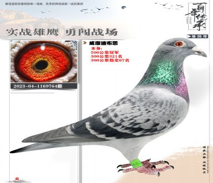 �����ϲ����ھ�����764