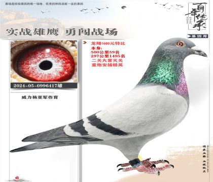 �����Ÿ����������ر�417