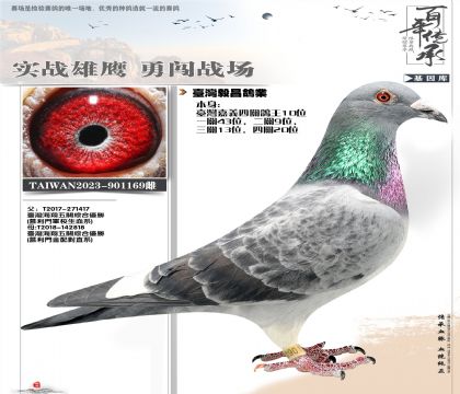 Ľ����169����10