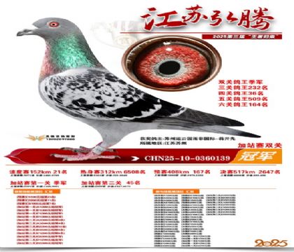 ����˫�ؼ�վ���ھ�