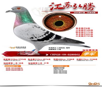 ����˫�ؼ�վ������