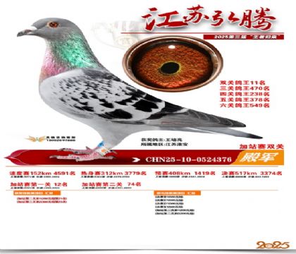 ����˫�ؼ�վ��4��