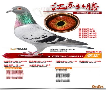 ����˫�ؼ�վ���Ǿ�