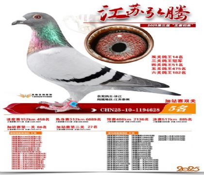 ����˫�ؼ�վ��5��