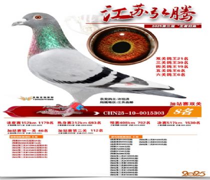 ����˫�ؼ�վ��8��