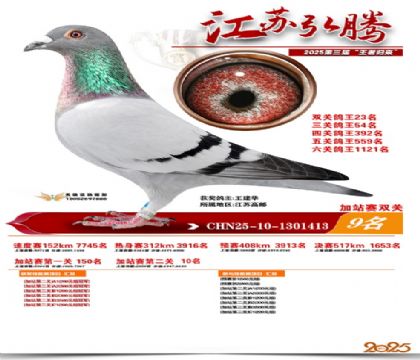 ����˫�ؼ�վ��9��