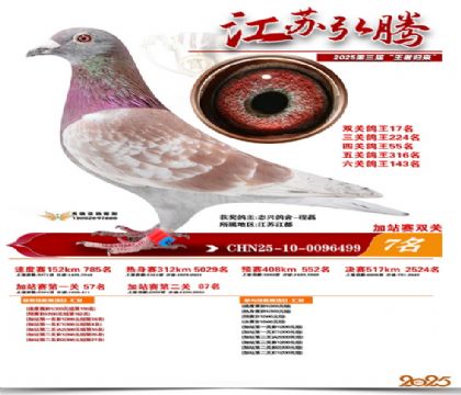 ����˫�ؼ�վ��7��