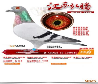 ����˫�ؼ�վ��15��