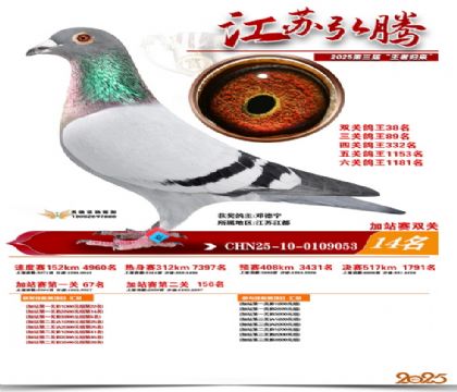 ����˫�ؼ�վ��14��