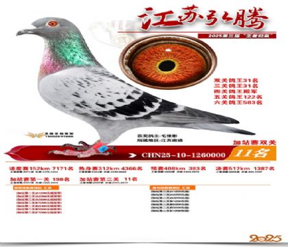 ����˫�ؼ�վ��11��