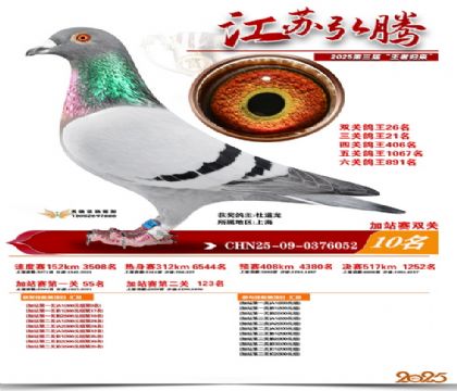 ����˫�ؼ�վ��10��