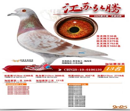 ����˫�ؼ�վ��13��