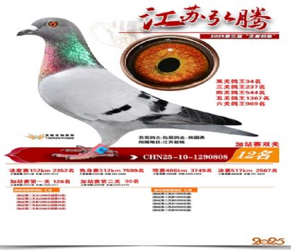 ����˫�ؼ�վ��12��