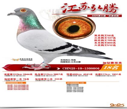 ����˫�ؼ�վ��18��