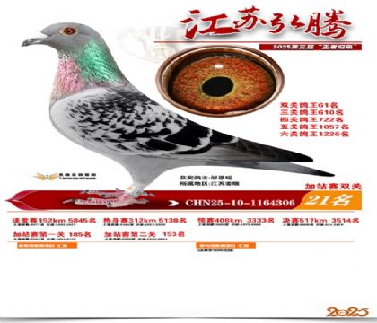 ����˫�ؼ�վ��21��