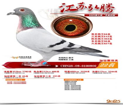 ����˫�ؼ�վ��22��