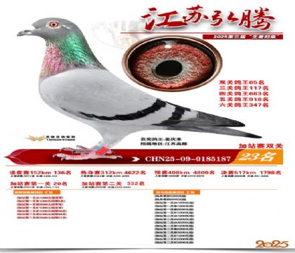 ����˫�ؼ�վ��23��