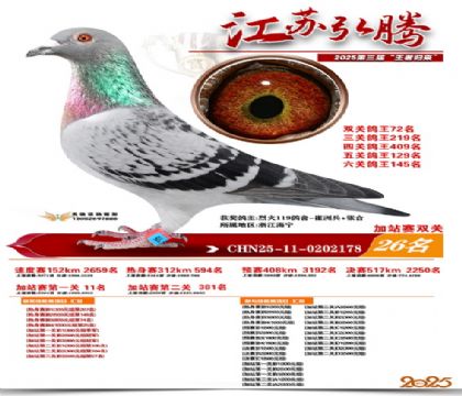 ����˫�ؼ�վ��26��