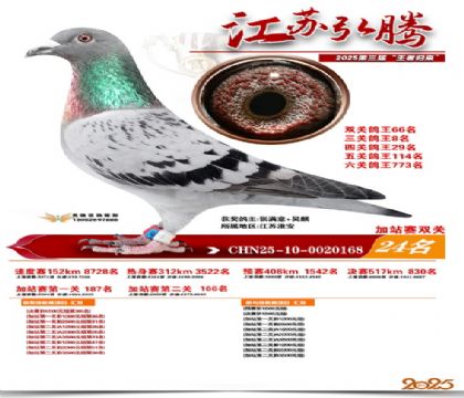 ����˫�ؼ�վ��24��