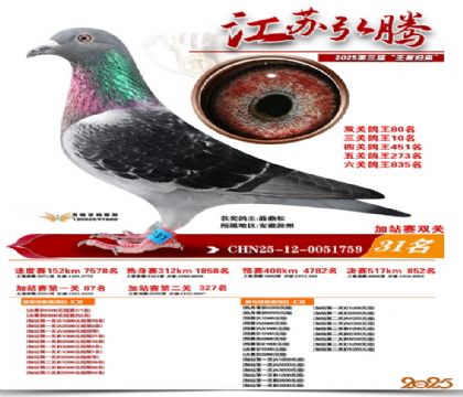 ����˫�ؼ�վ��31��