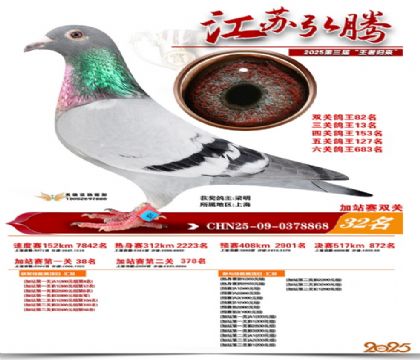 ����˫�ؼ�վ��32��