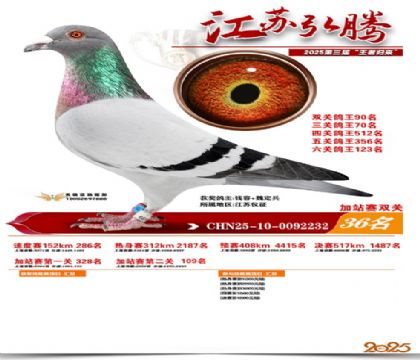 ����˫�ؼ�վ��36��