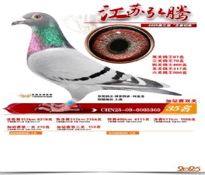 ����˫�ؼ�վ��35��