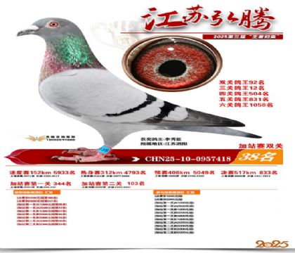 ����˫�ؼ�վ��38��