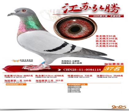 ����˫�ؼ�վ��37��