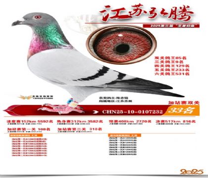 ����˫�ؼ�վ��33��