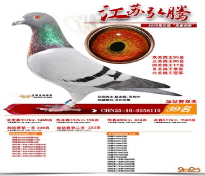 ����˫�ؼ�վ��39��