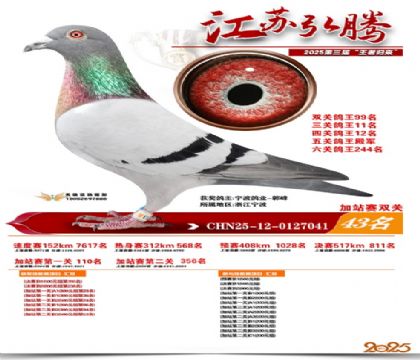 ����˫�ؼ�վ��43��