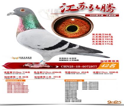 ����˫�ؼ�վ��42��