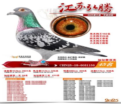 ����˫�ؼ�վ��45��