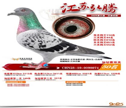 ����˫�ؼ�վ��50��